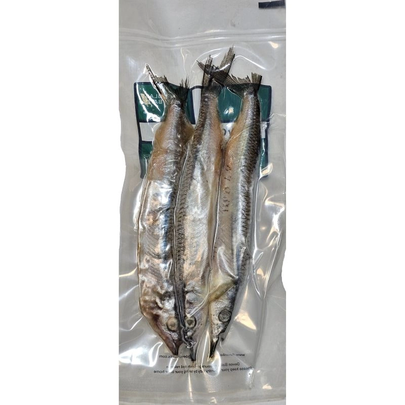 Devon Baits Frozen Halfbeaks